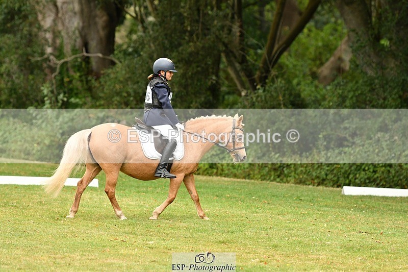 250820A-130412-05729 - 12 to 13.00