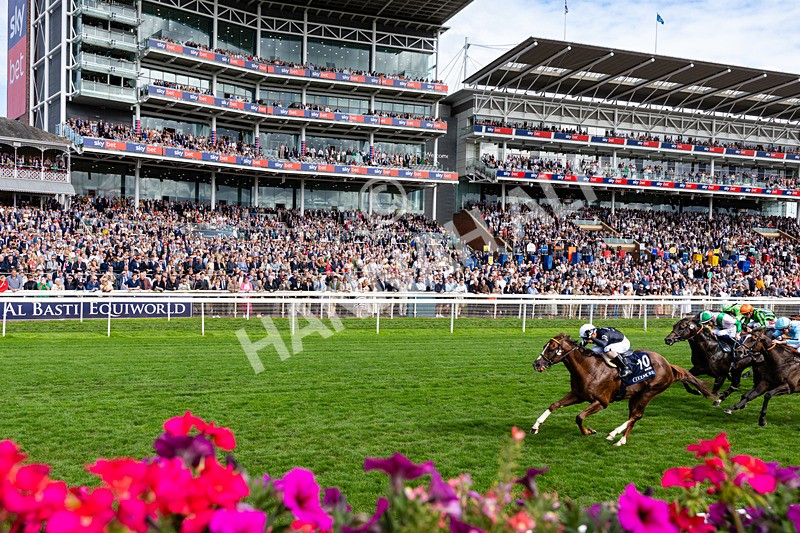 210826-Race 4-Bacio-6456 - Race 4 15.35pm Coolmore City Of Troy Nunthorpe Stakes