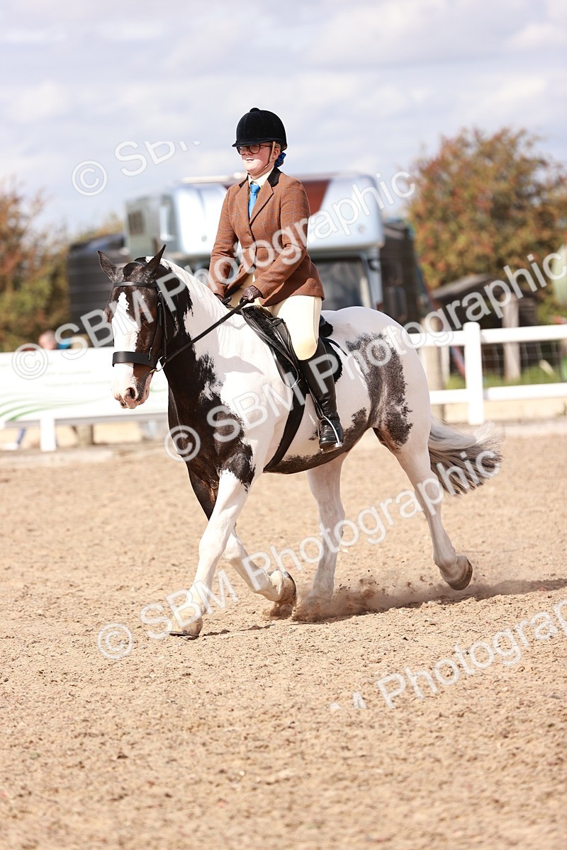 SBM_14442 - Class 410 - Grassroots Ridden - Horse