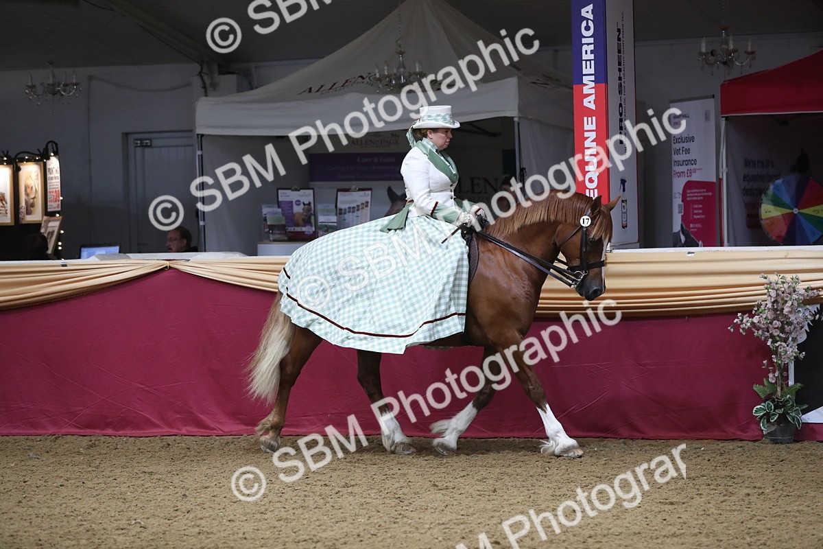 SBM_11974 - Class 106 Ridden Costume- Astride Adult (15-19)