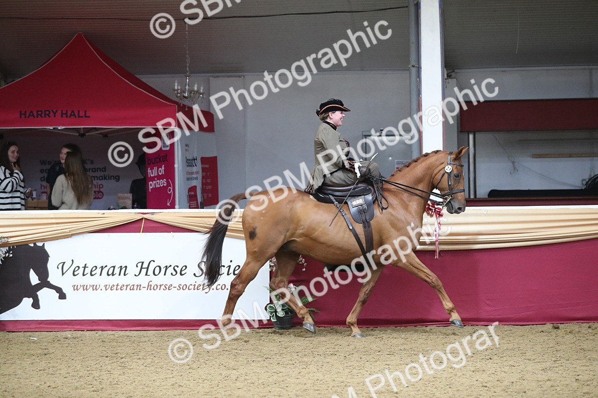 SBM_11525 - Class 105 Ridden Costume- Side Saddle