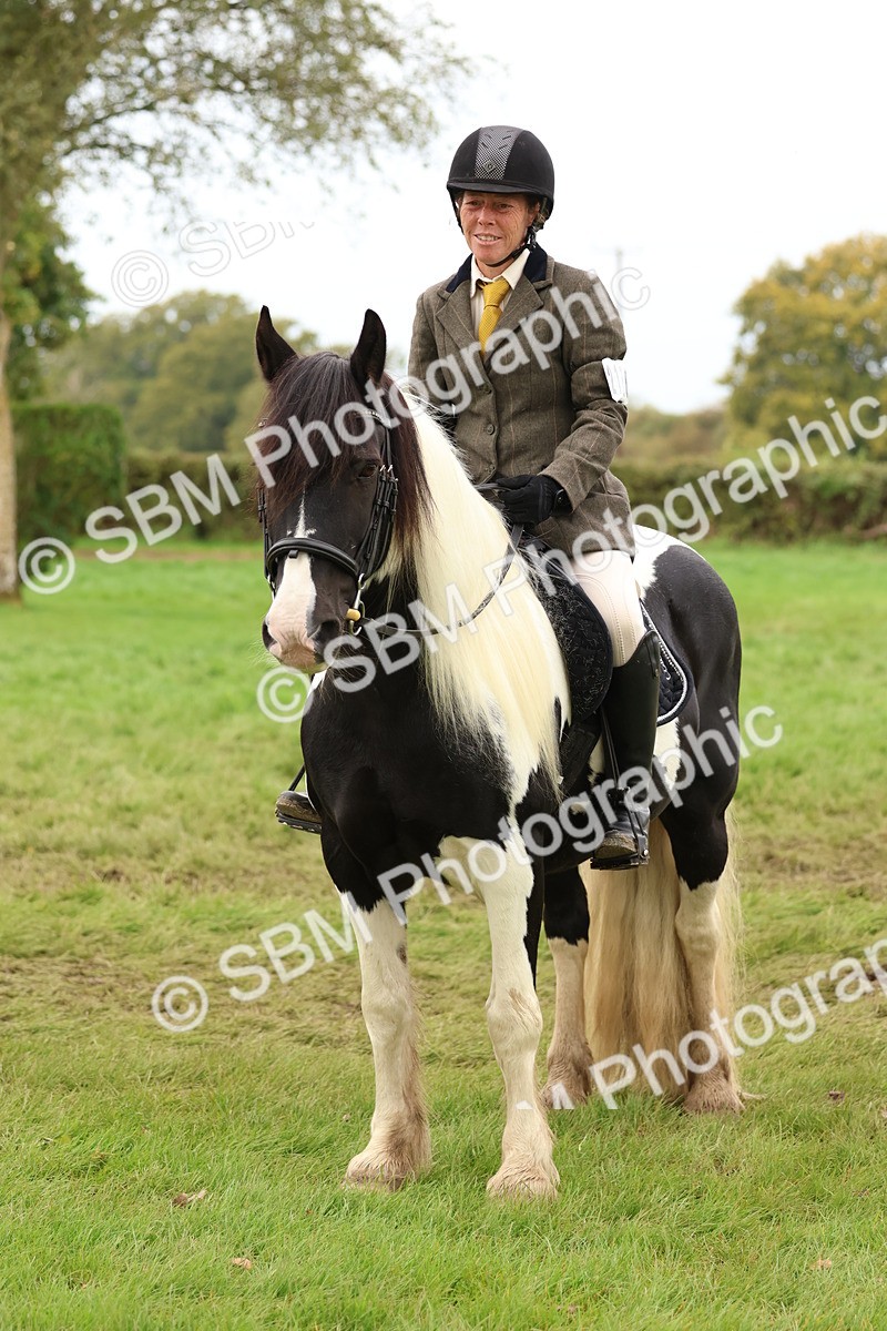 SBM_59913 - S36 - Rehabiliated Rescue Horse & Pony In Hand & Ridden