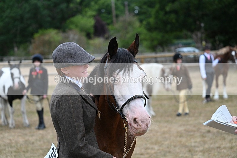 WJ7_8450 - Class 4 Prettiest Mare up to 14.2hh