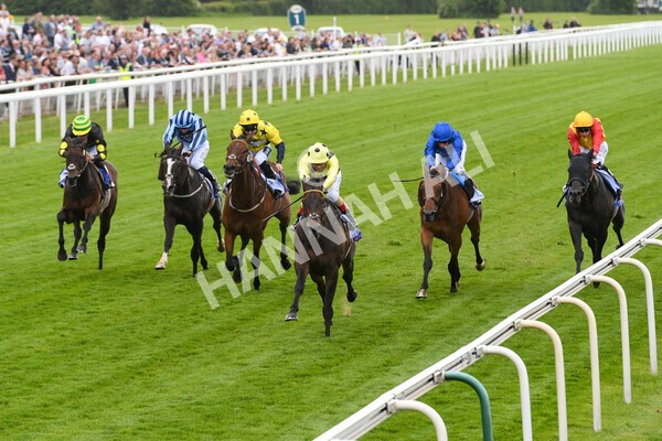 yr11062022r4-10 - Race 4 3.05pm Sky Bet Grand Cup