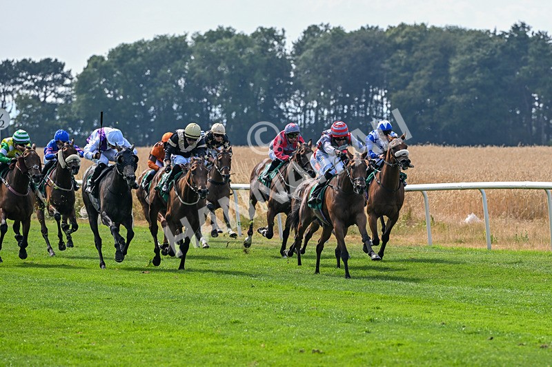 160726-Race 4-Park Lane Penny-4650 - Race 4 15.38pm Don't Miss Summer Family Days @thirskraces Classified Stakes