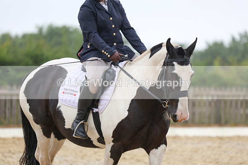 3E7A8321 - Class 2: Intro 3 2024 section B