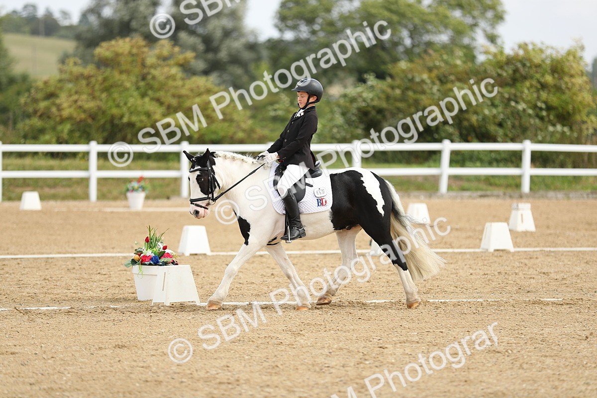 SBM_016335 - Class 13 - Novice 23 - 11.25-12.35