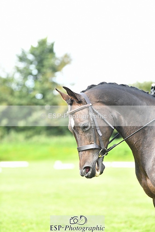 230826-103641-15531 - Sections C & D 10 to End