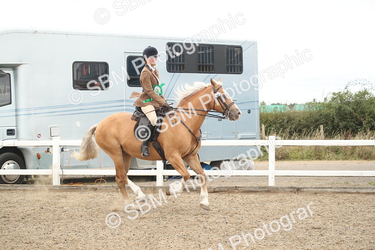 SBM_18345 - Class 509a - Working Veteran - 80cm (15-19)