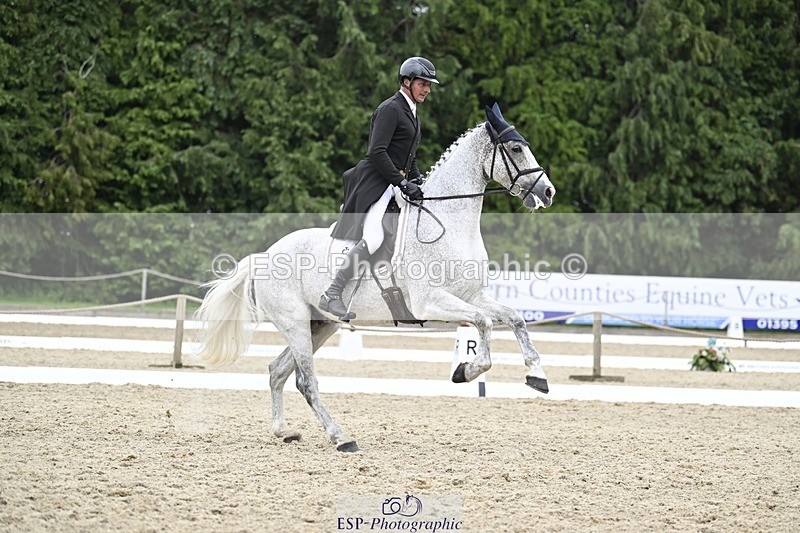 240523-171541-05678 - 451-CORNISH_REBEL-Alberto_Giugni