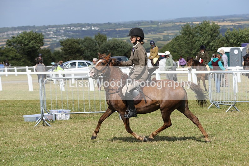 1X9A5791 - Class 40: NPS Welsh A & B