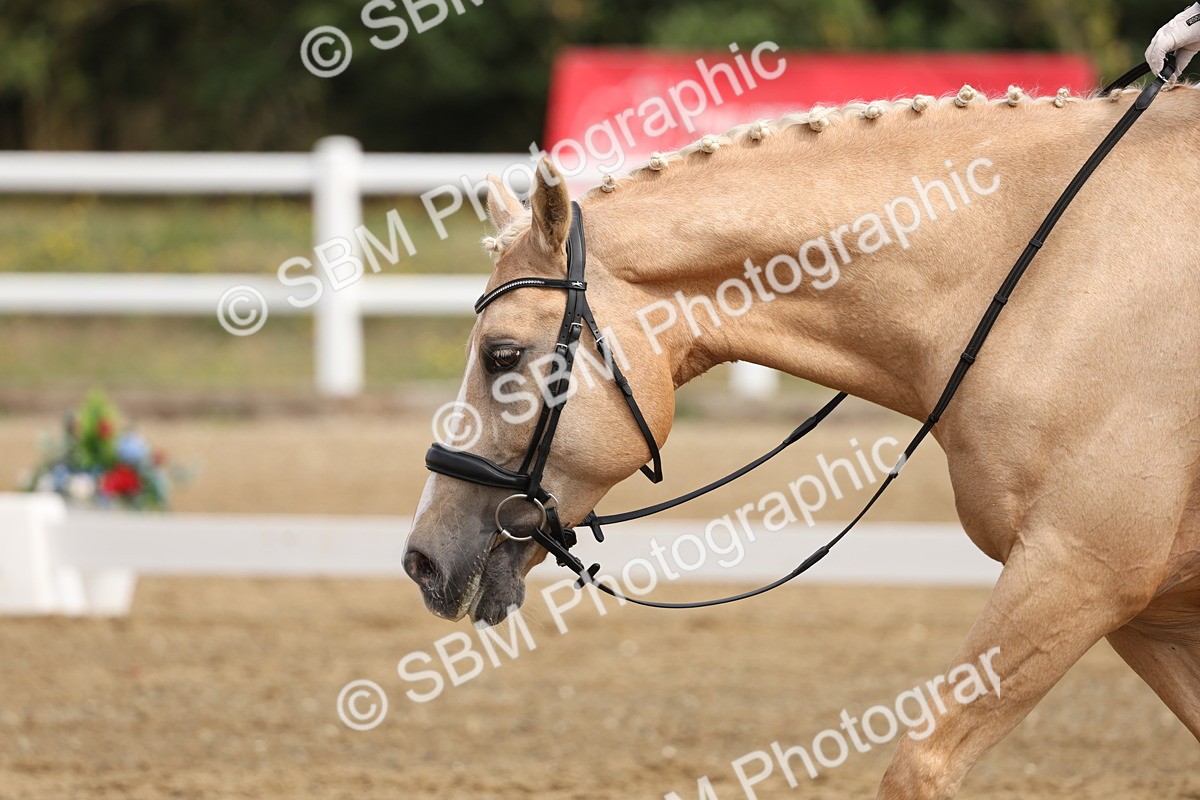 SBM_005834 - Class 6 - Novice 6 - 10.26-11.29
