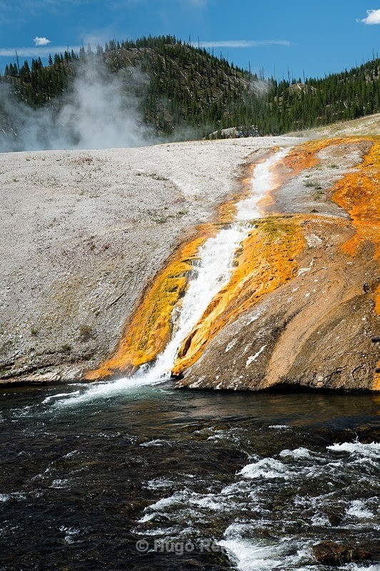  - Yellowstone