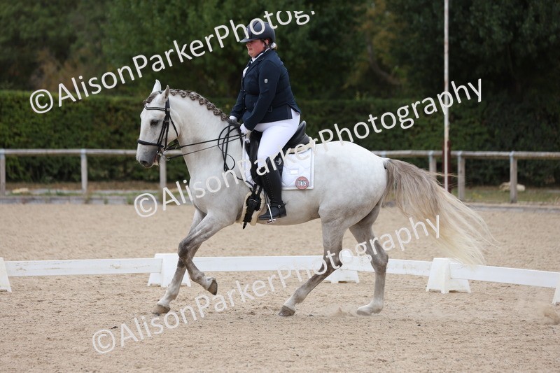 20250820-1205 - Class 18 - Elementary 5