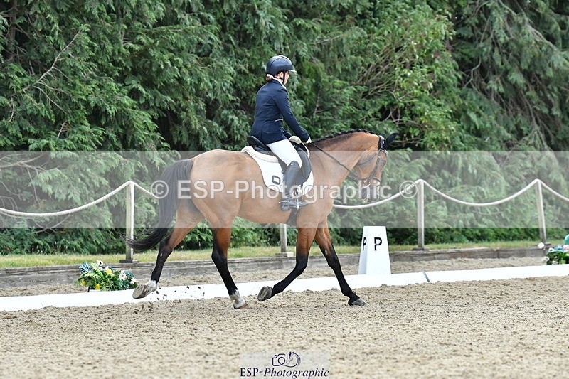 260801A-114502-03665 - Prelim Bronze Break - End