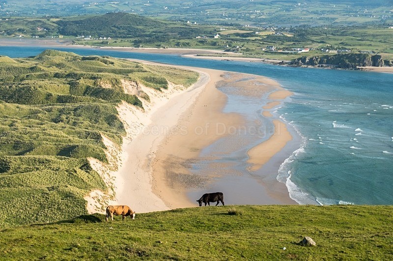 _MF24965 - North Inishowen
