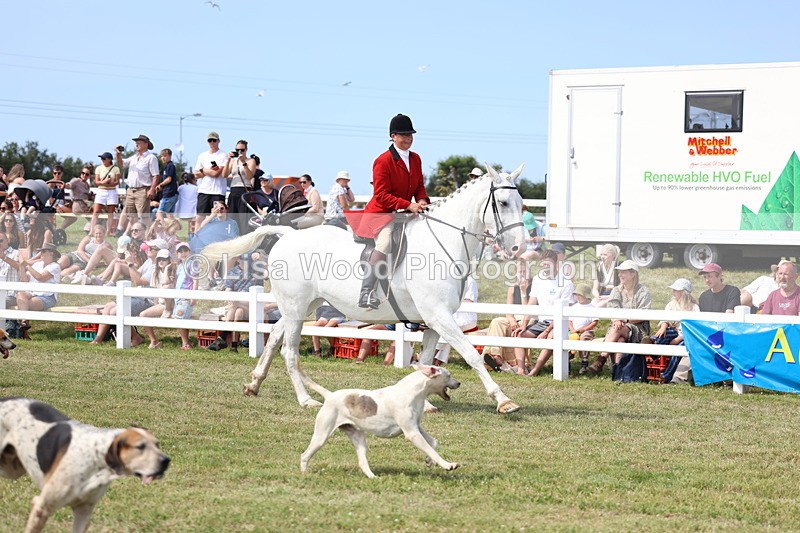 3E7A0176 - Parade of Hounds