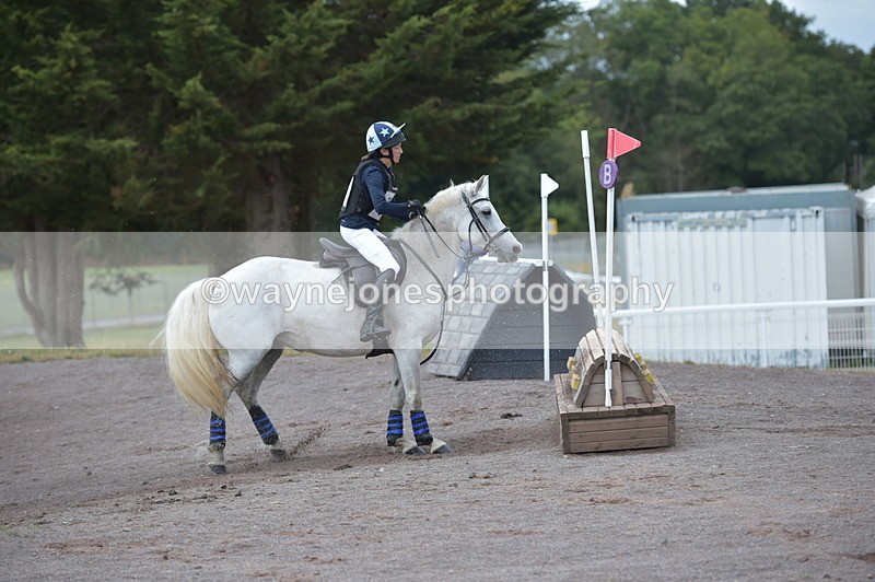 NGP_3382 - XC Time 11:59 to 12:15