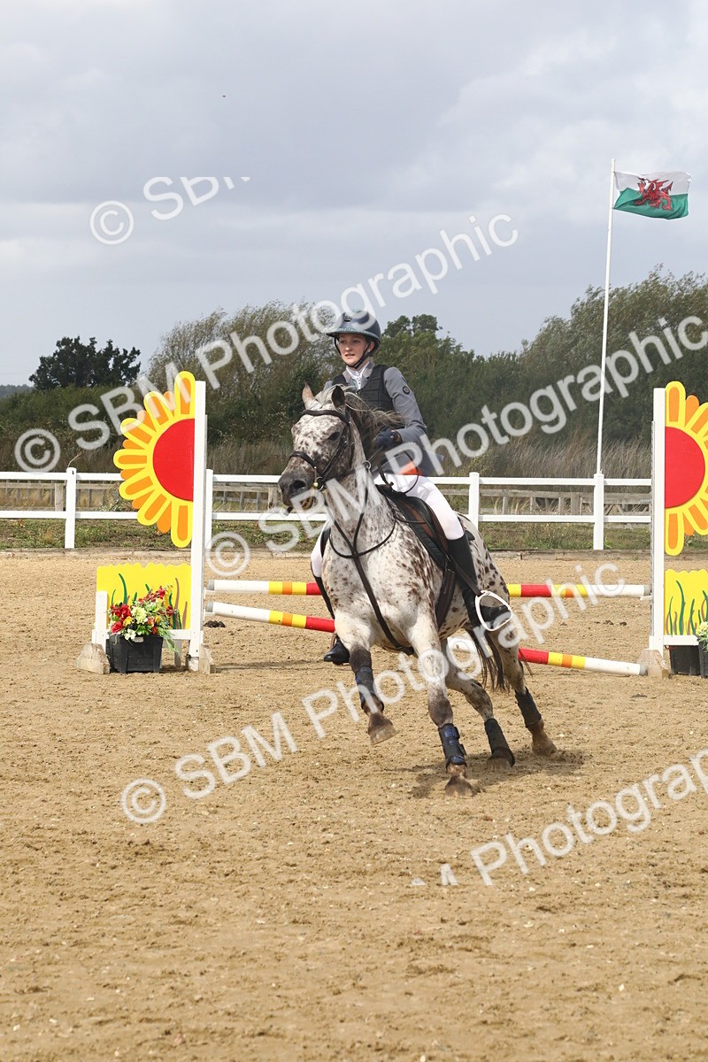 SBM_006538 - Class 6 - 60cm Champs