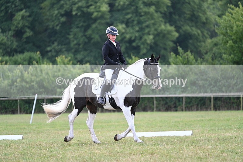 WJ7_5282 - Time 11:22 to 11:51