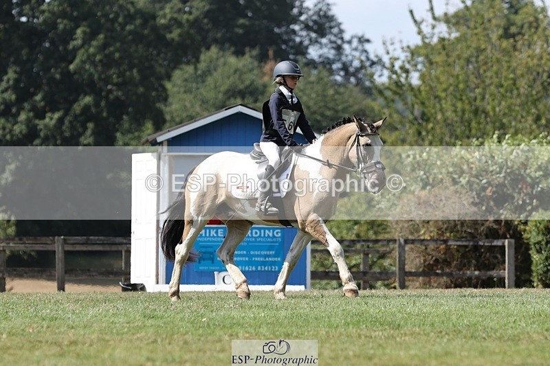 250823A-133410-31315 - Arena D