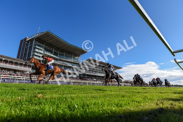 141023-Race 3-Montassib-3973 - Race 3 2.25pm Coral Sprint Trophy Handicap