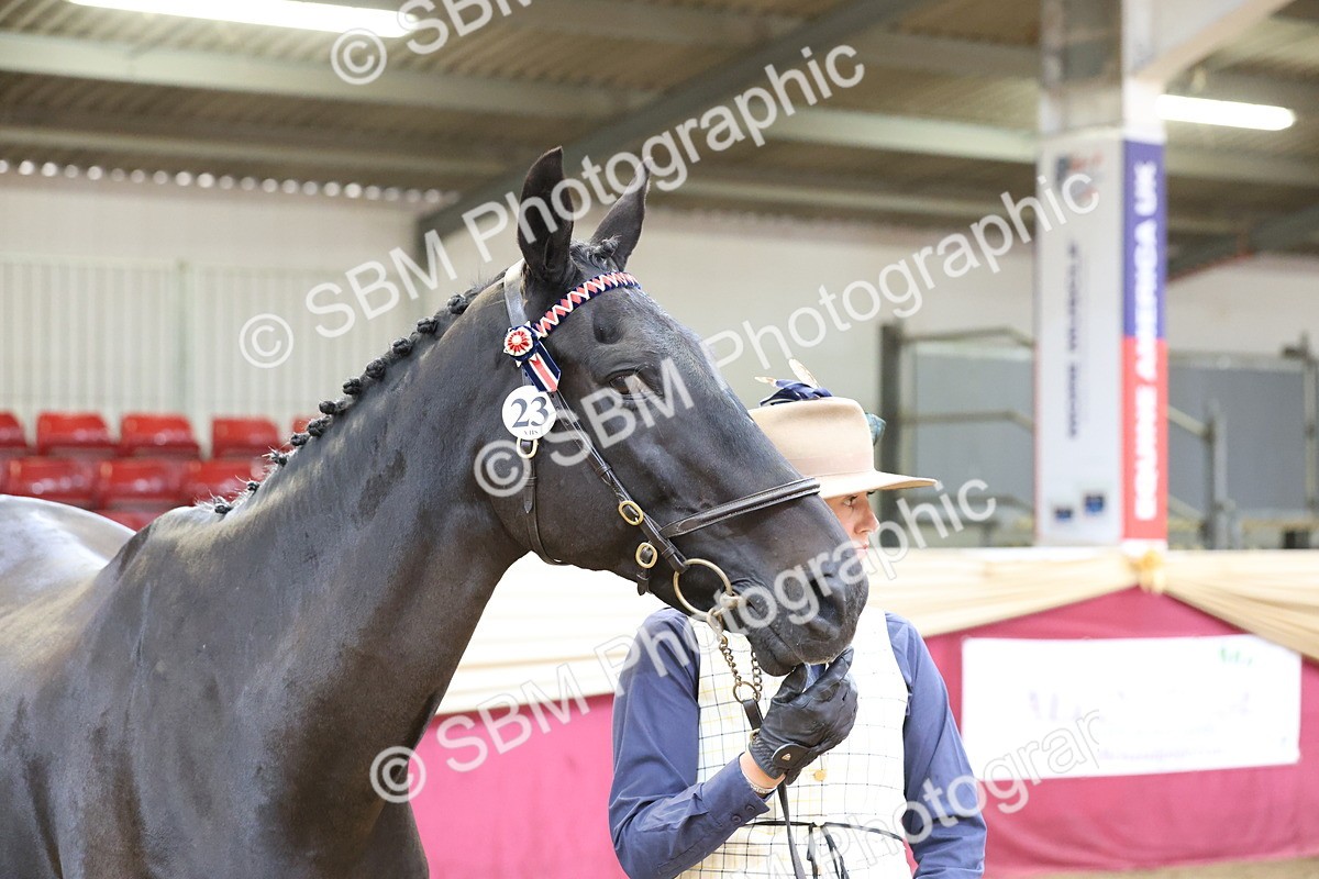 SBM_22513 - Class 902 - Supreme Final - IH Diamond