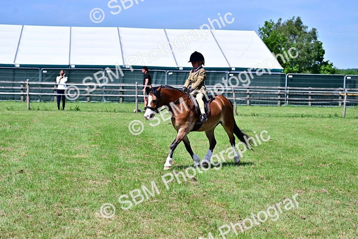 SBM_06038 - Class 59-60 - TSR M&M  Lear Rein and First Ridden Amateur of the year