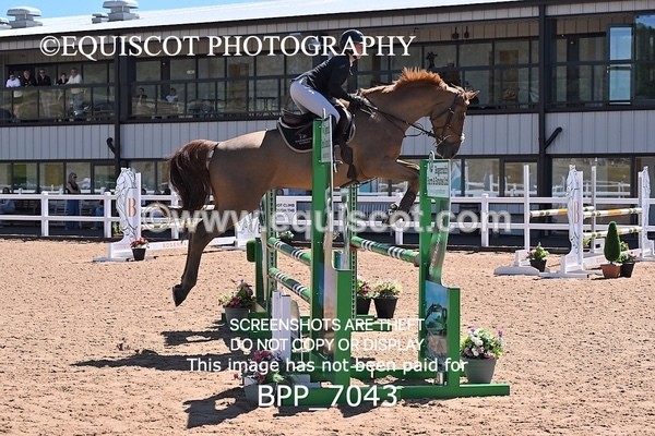 BPP_7043 - CLASS 14 FRI Nupafeeds Senior Dicovery/1m open
