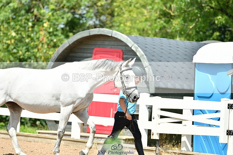 230719A-114512-00050_Trot Up 11am to 12pm - 077-116-2353