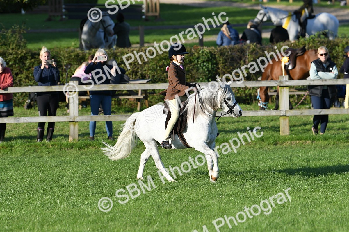 SBM_54110 - S23 - 1st Ridden Mountain & Moorland Pony
