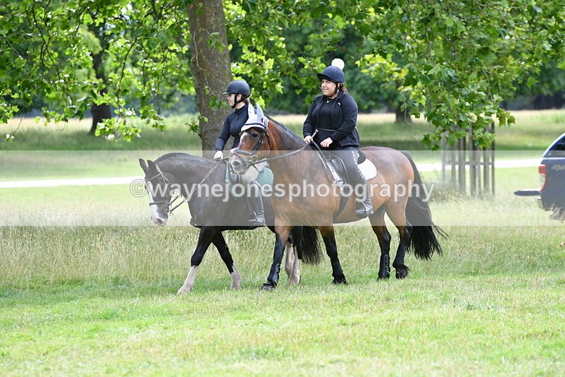 WJ5_0116 - Time at Jump 10:44 to 11:31