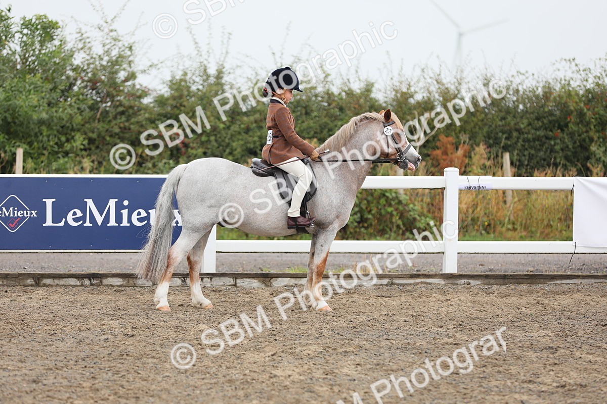 SBM_21731 - Class 806 - Young ridder 10 Yr & Under