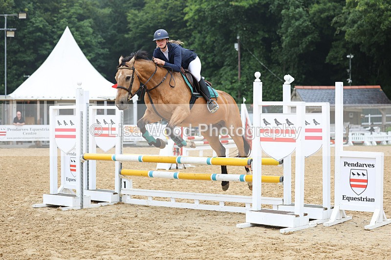 3E7A5273 - Class 4: Senior British Novice/90cm open