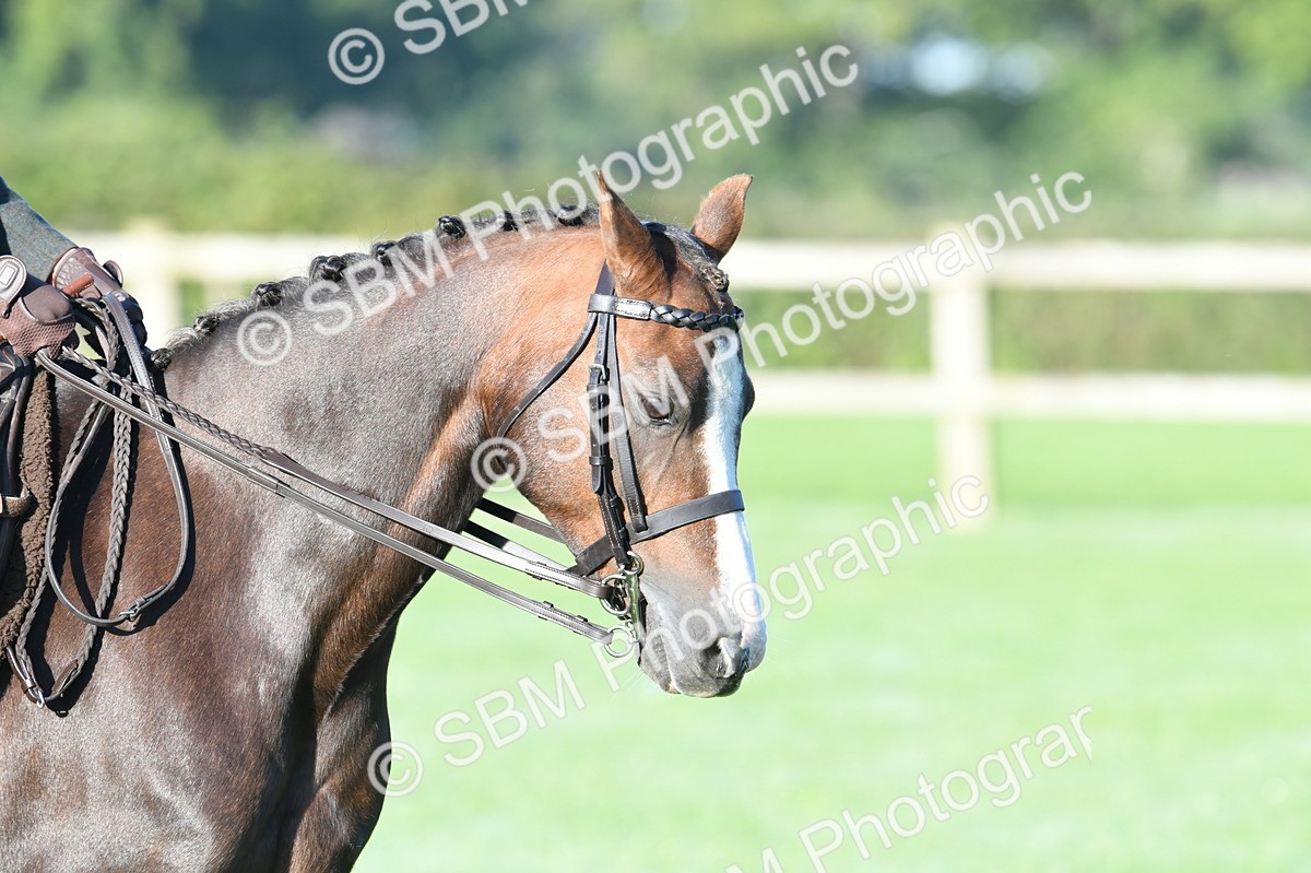 SBM_33865 - S16 - Condition & Turnout - Ridden