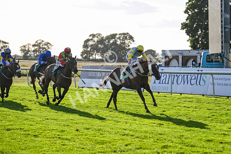 160824-Race 4-Jamih-9332 - Race 4