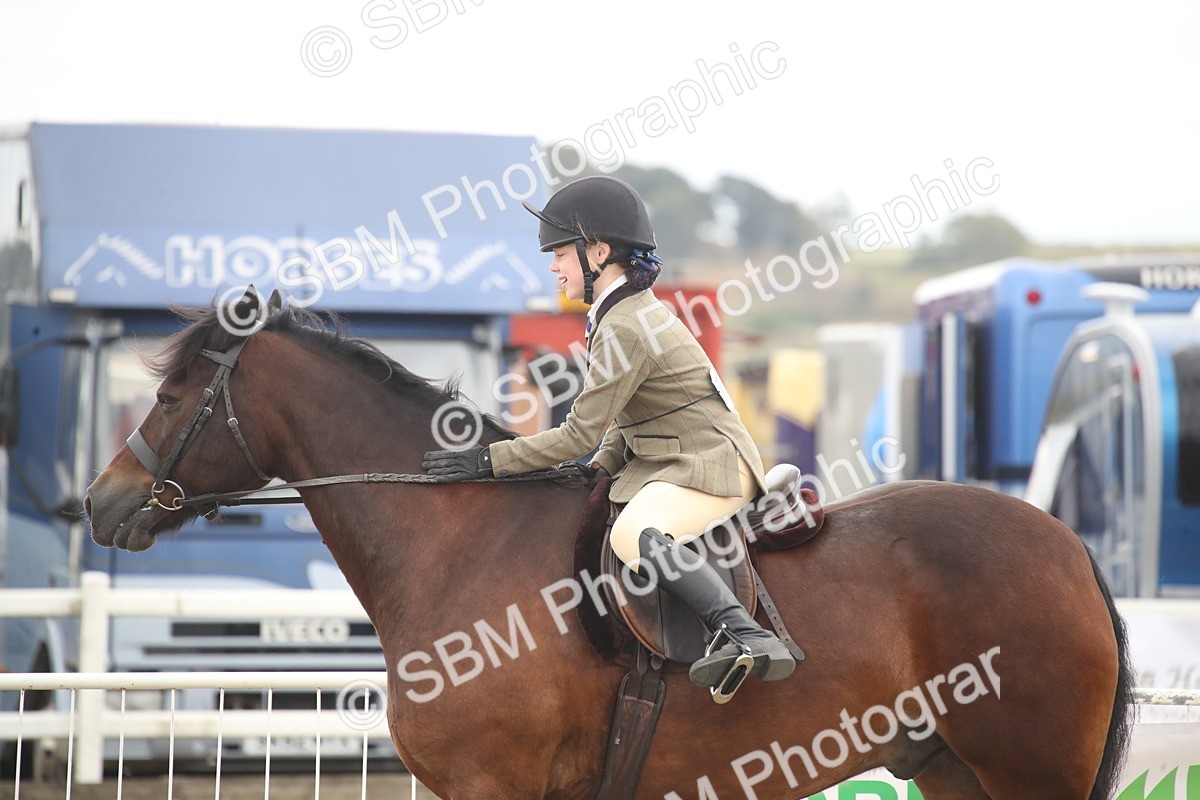 SBM_17912 - Class 508b - Working Veteran 70cm (20+)