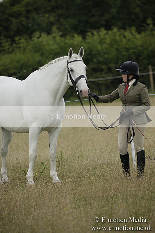 B230619-0255 - Bourne Valley Riding Club Summer Show 23/06/19