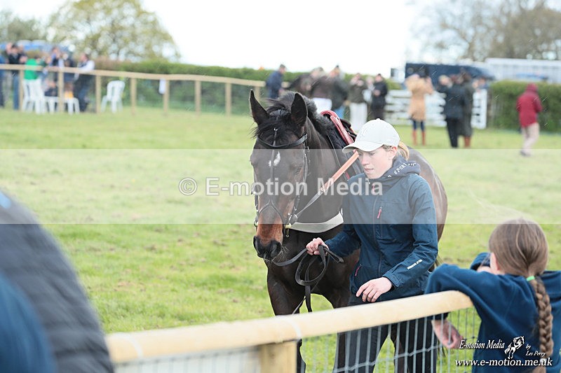 PtP 180426 640 - Worcestershire Hunt PtP Chaddesley Corbett 18/04/26