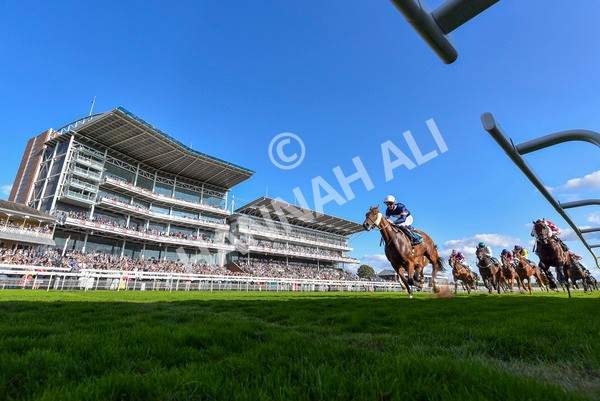 240824-Race 7-Sir Busker-4673 - Race 7 5.20pm Sky Bet Finale Handicap