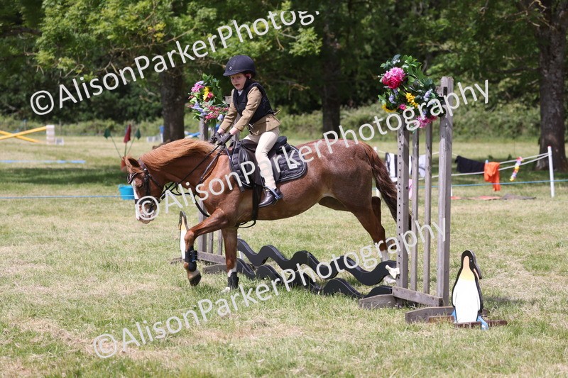 20260614-2006 - Class 21 - Novice Working Hunter Pony