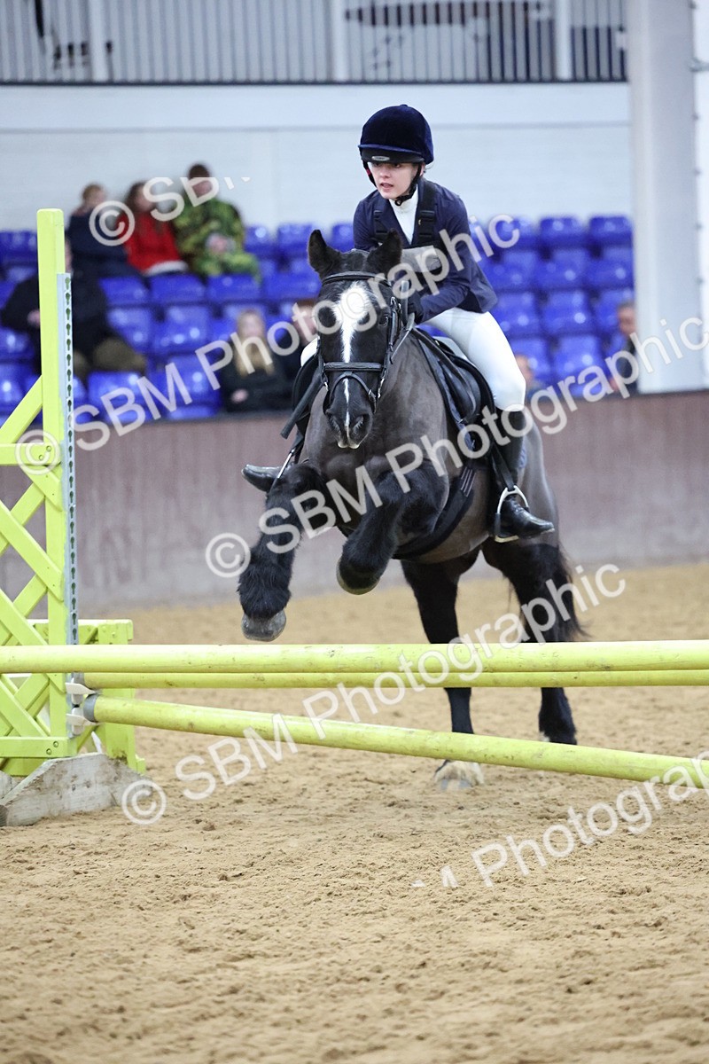 SBM_001150 - Class 3 - Christmas Tree Stakes - 60cm