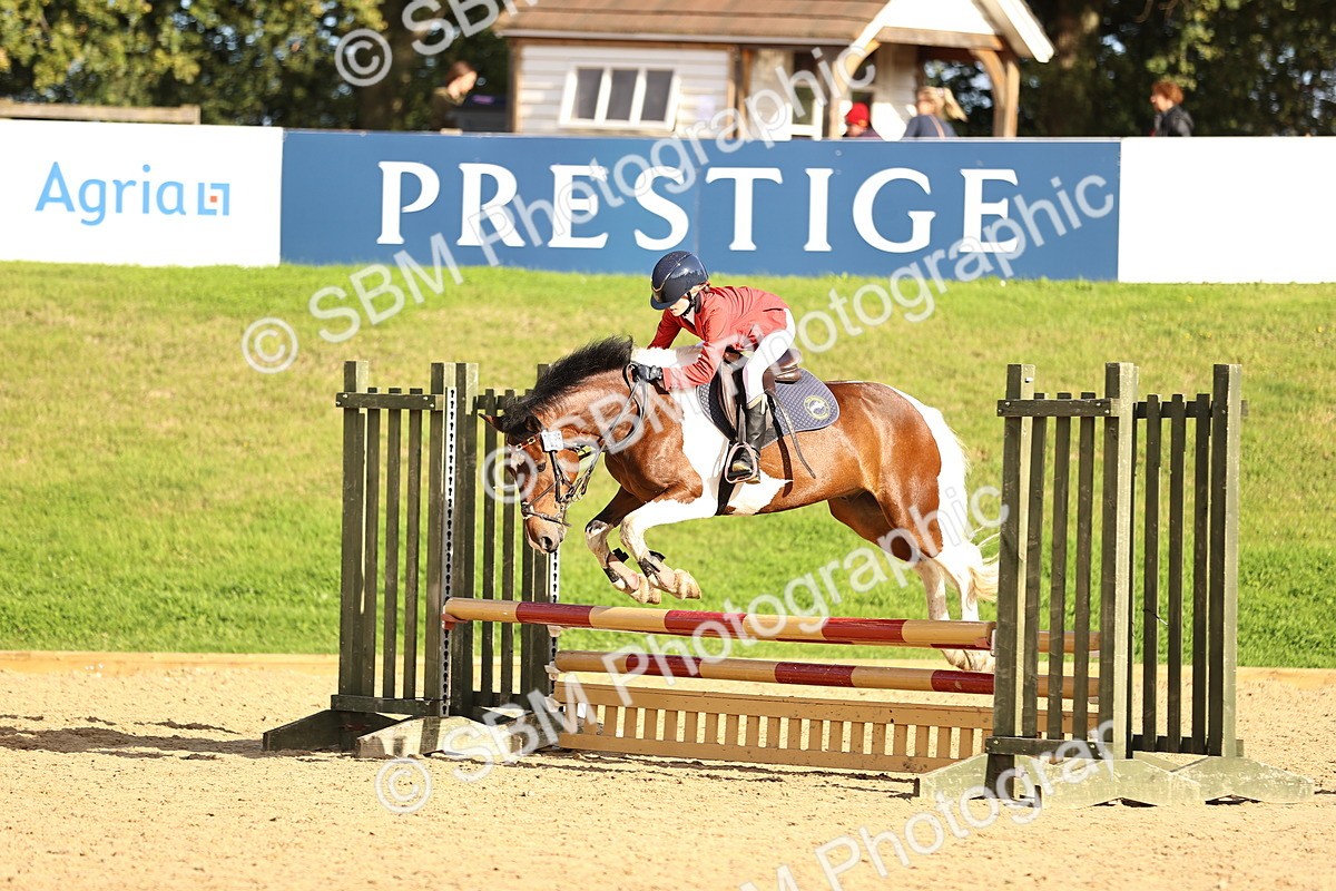 SBM_51519 - J10 - Junior Pony 75cm Championship