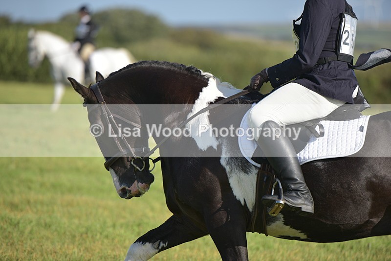RAY_7347 - Class 2B: Trekenning Open: Dressage