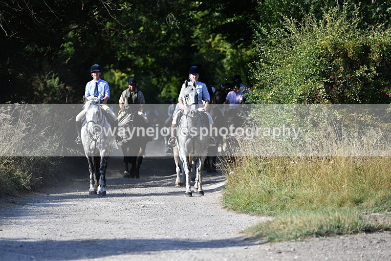 WJ5_4865 - Walk out with the hounds