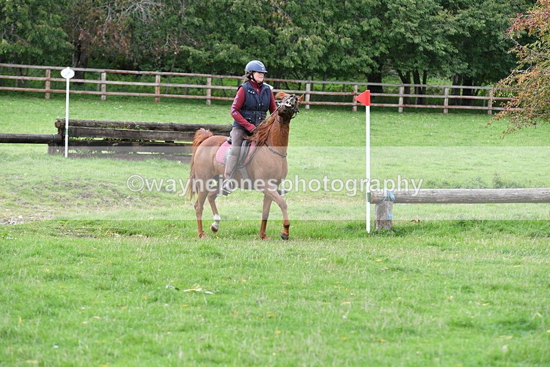 WJ5_9698 - Time 13:03 to 13:25