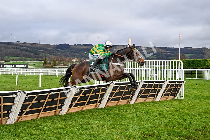121225-Race 3-Iberico Lord-5046 - Race 3