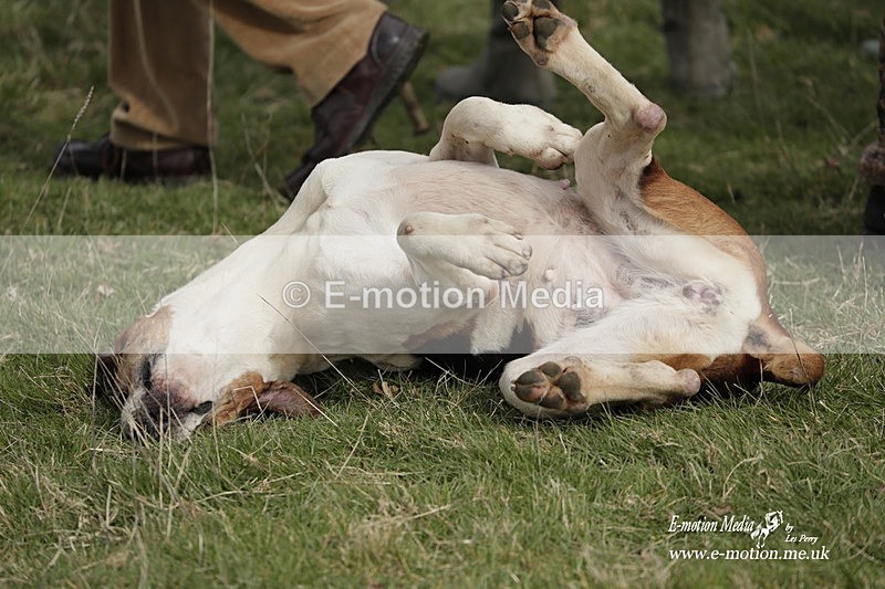 PtP 190323 485 - Oakley Hunt Point-to-Point Brafield-On-The-Green 19/03/23