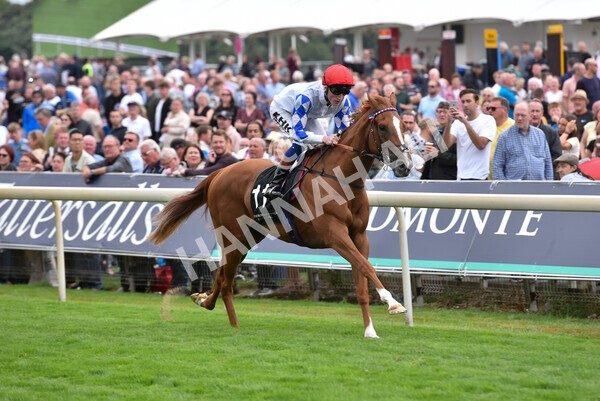 yr17082022r6-24 - Race 6 4.45 pm Celebrate ITM’s 200th IRE Voucher Winner Stakes