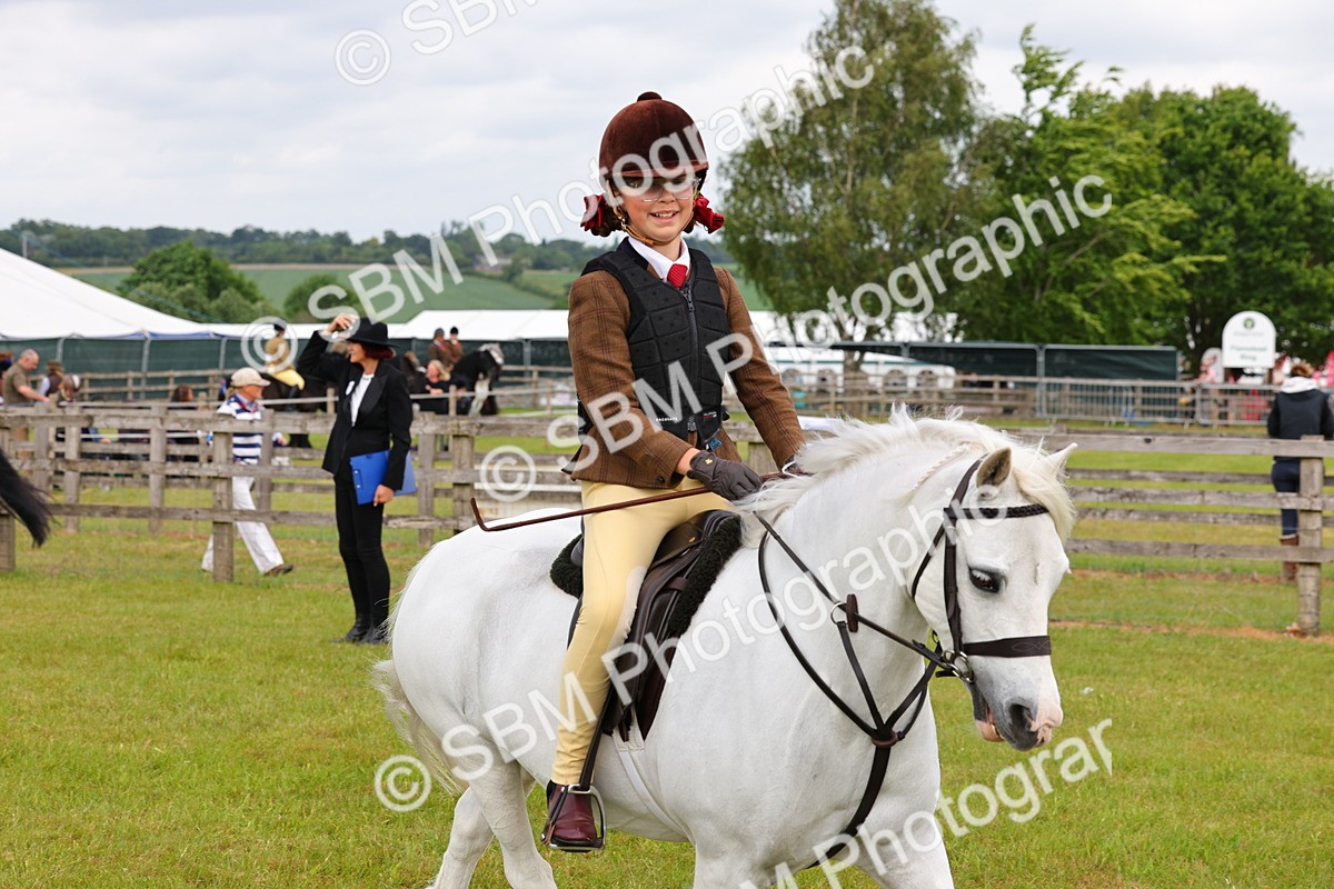 SBM_08576 - Class 42-43 - LIHS BSPS Heritage Working Sports Pony